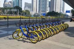 【详细教程】吉林市厂子招工信息_哔哩哔哩-2